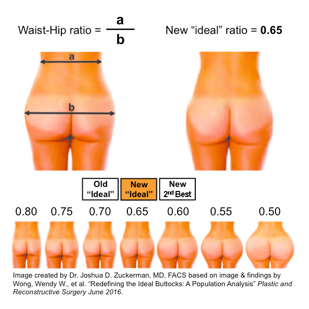 buttock ratio ideal